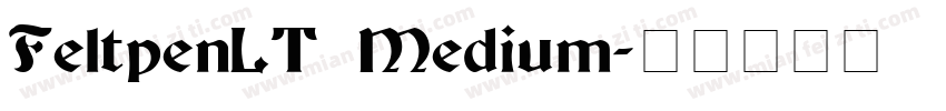 FeltpenLT Medium字体转换